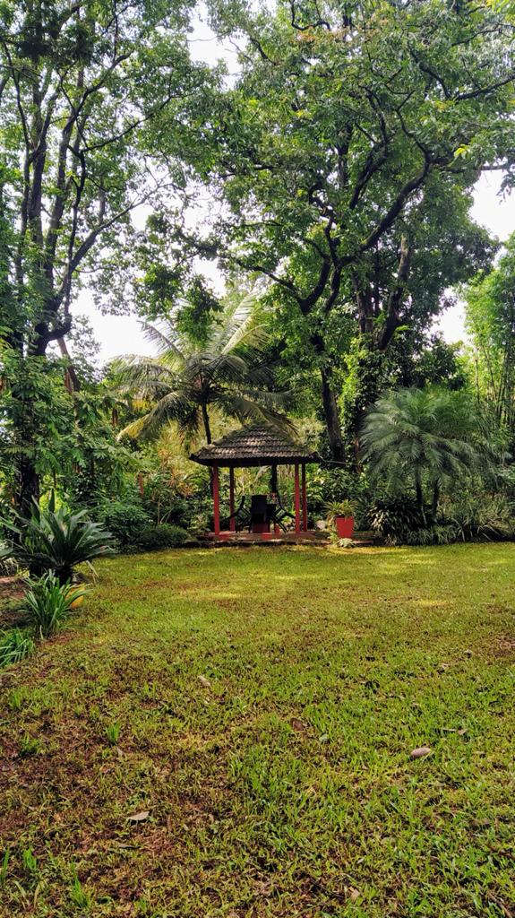 Hillyside Home Stay Home Stays Association