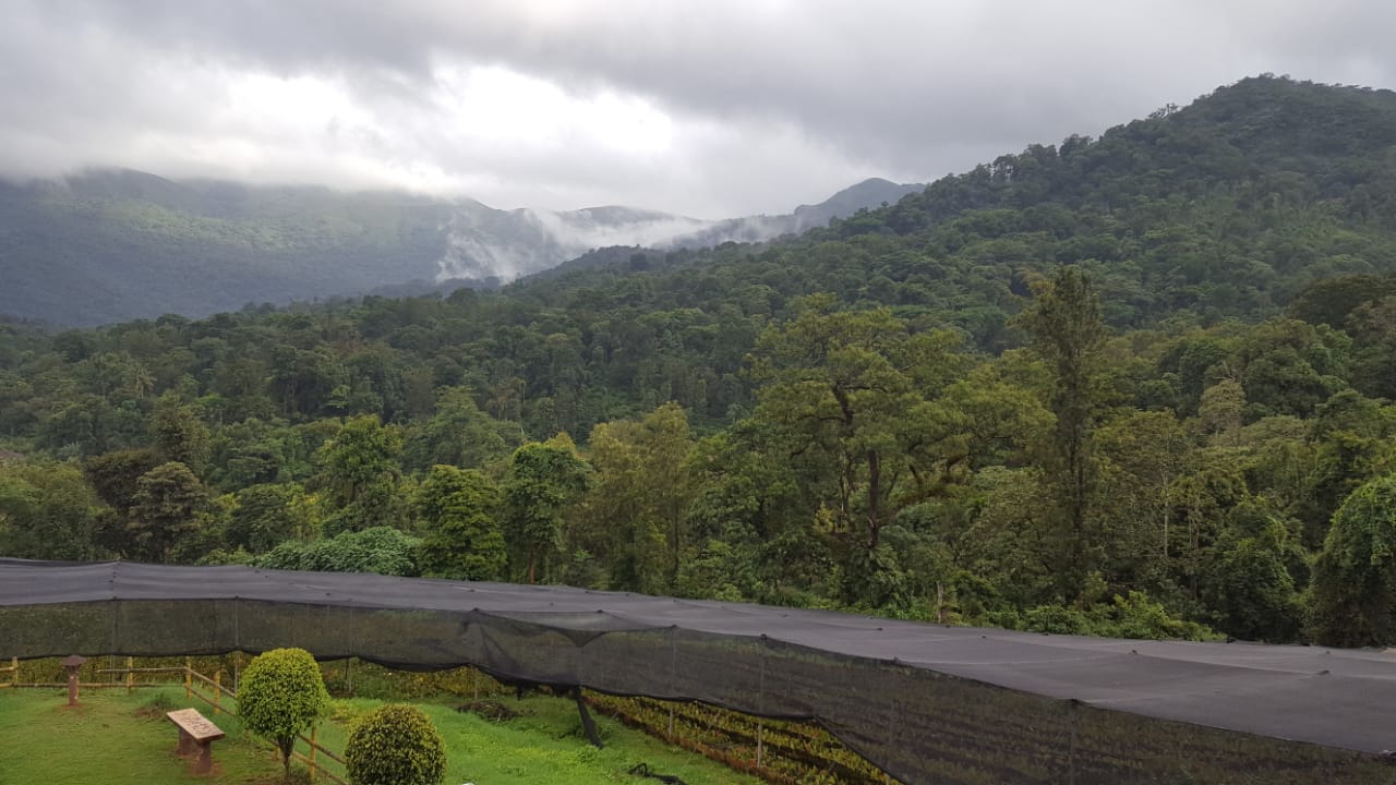 Tropical Blooms Home Stays Association