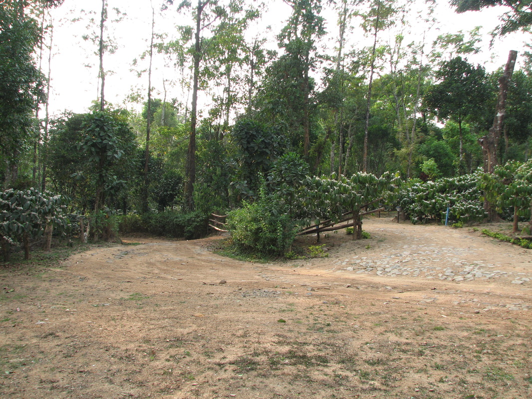 Java Hills Home Stays Association