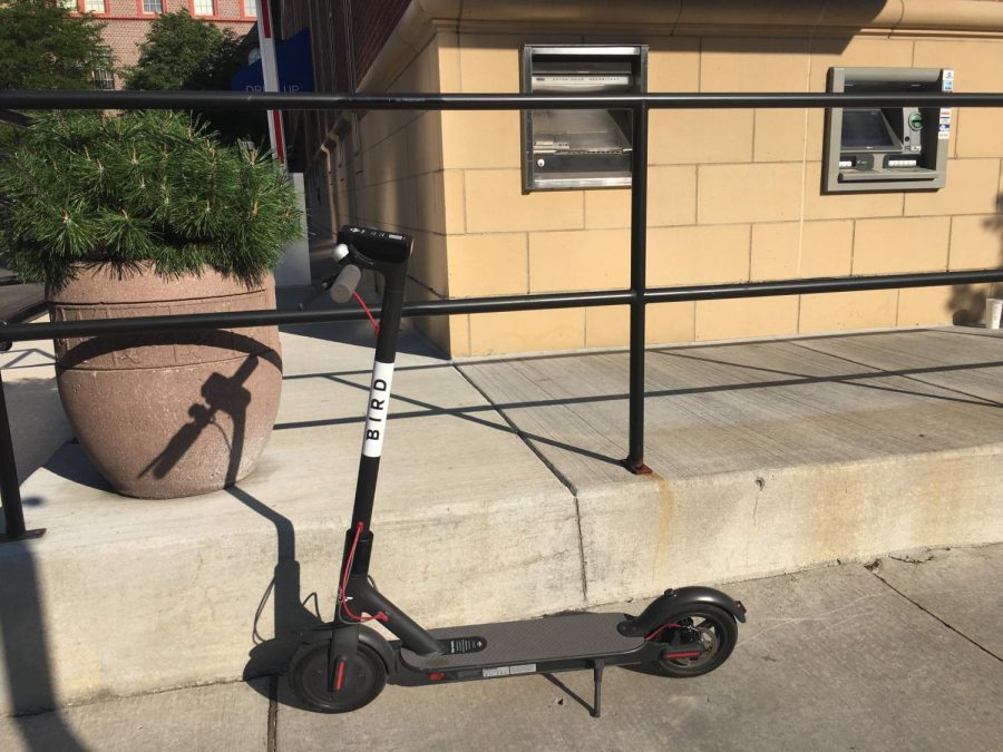 Bird scooters swoop in unannounced The Communicator