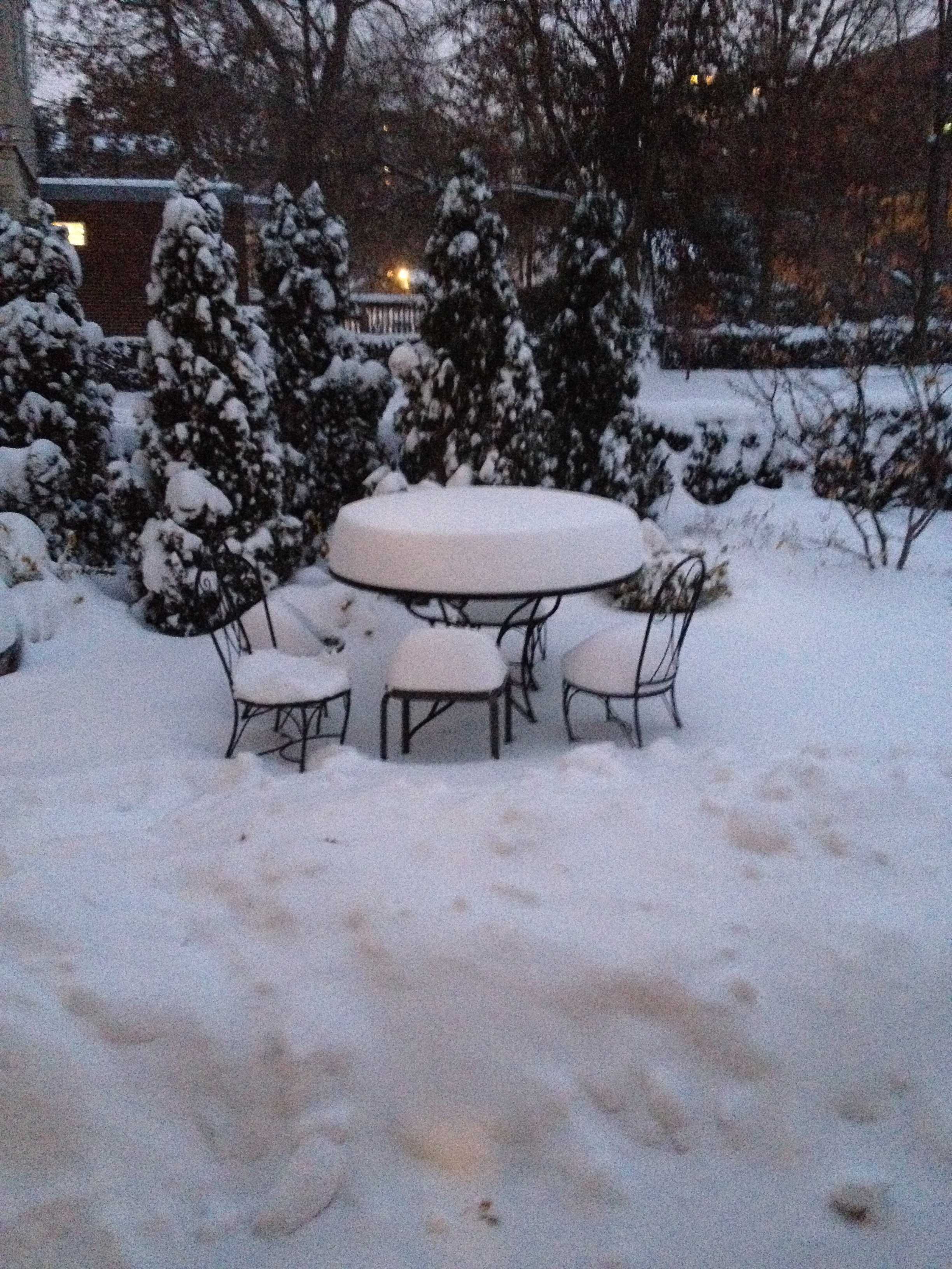 Blizzard Strikes St. Louis Area The Globe