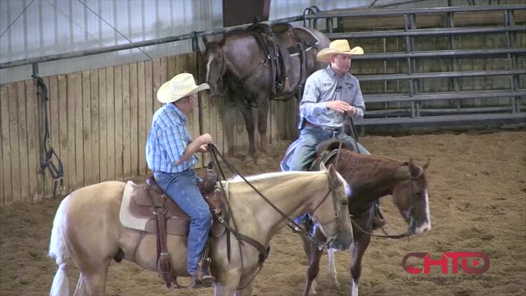 Three Key Elements To Showing And Training Cutting Horses Tarin Rice