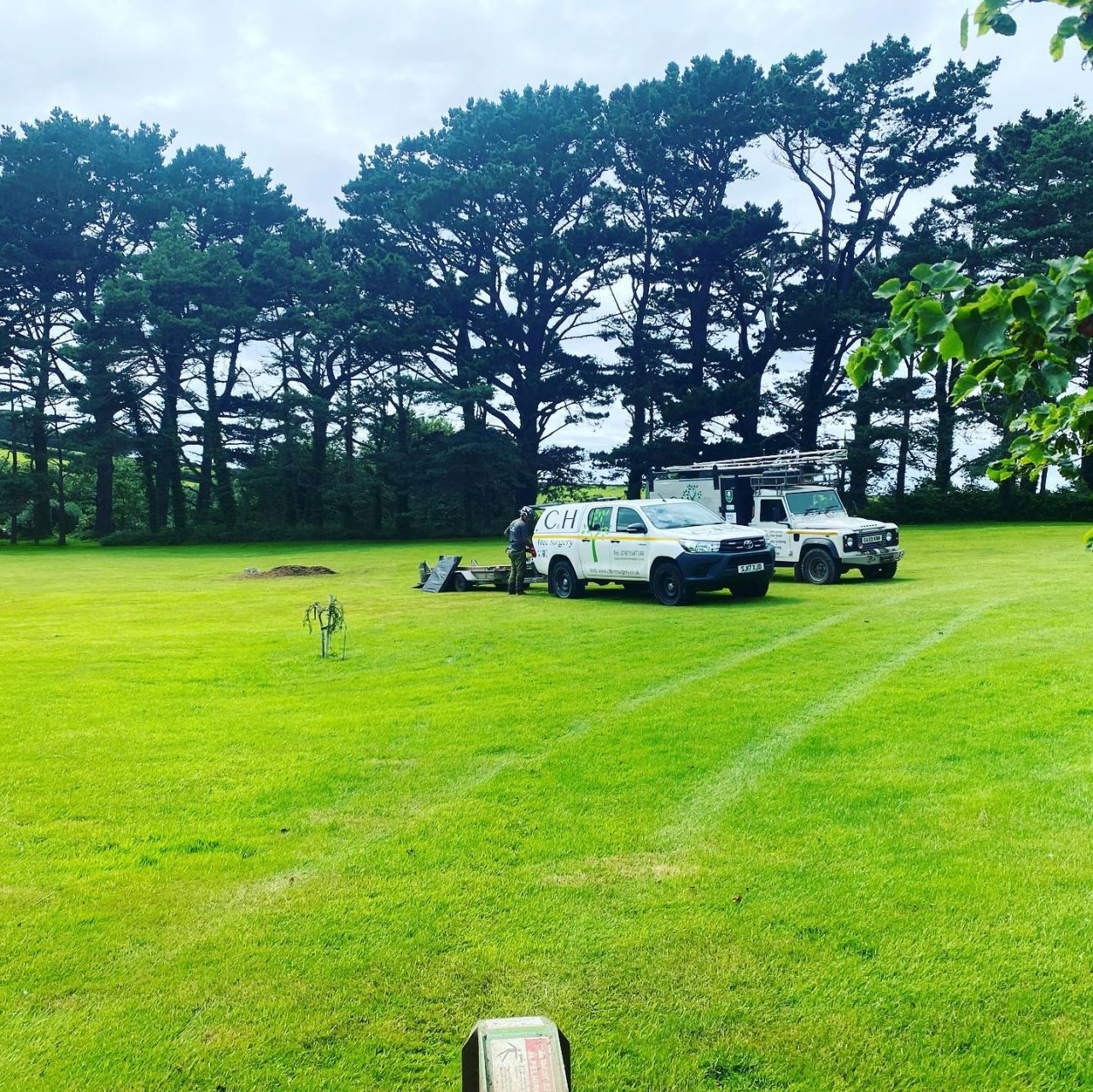 Grounds Maintenance Plymouth C&H Tree Surgery