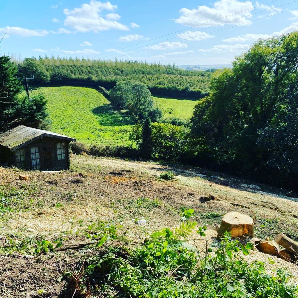 Grounds Maintenance Plymouth C&H Tree Surgery