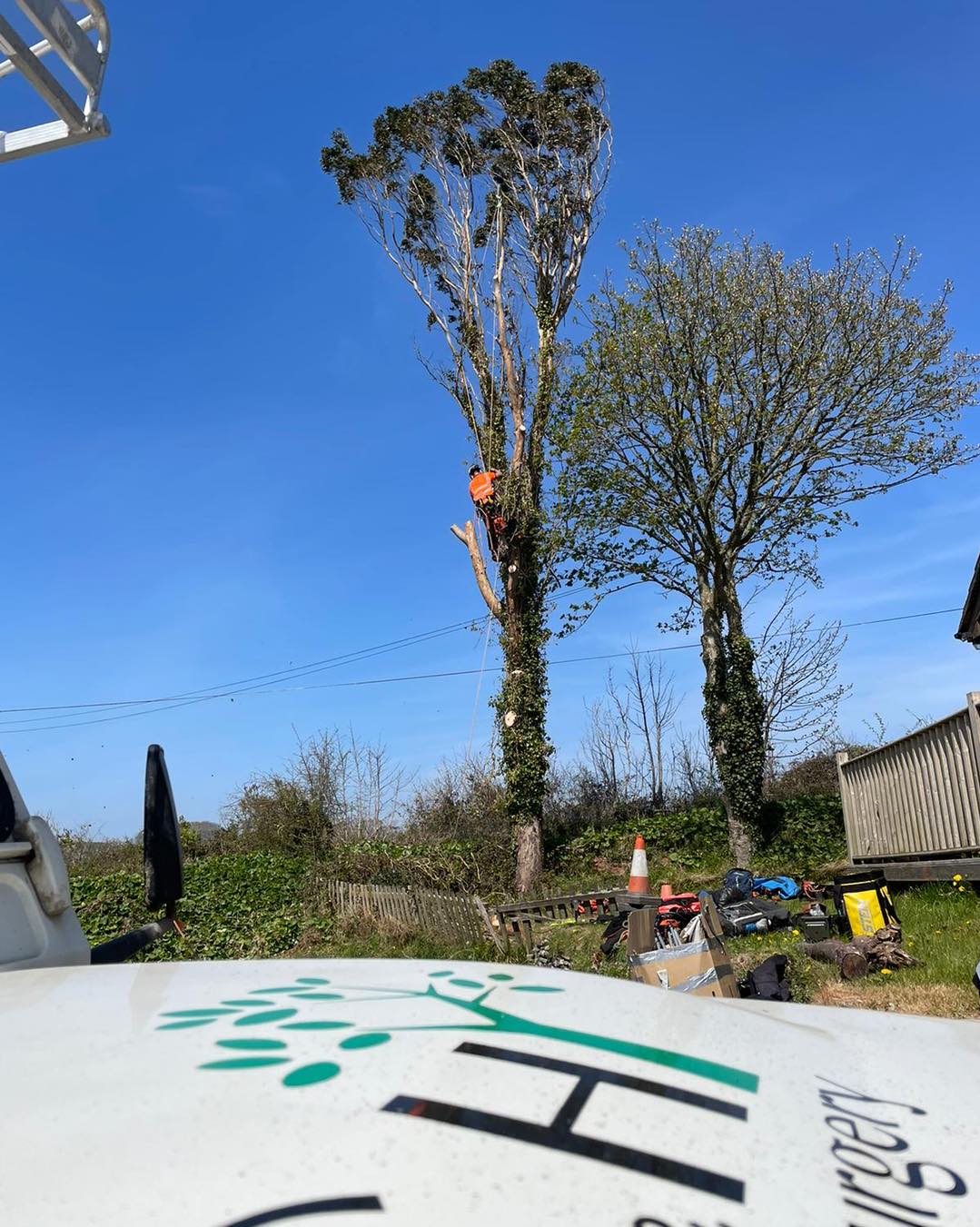 Grounds Maintenance Plymouth C&H Tree Surgery