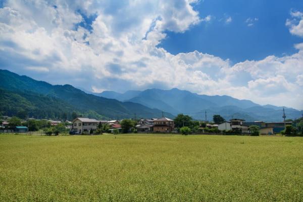 bsPEZ88_tanbotoyama