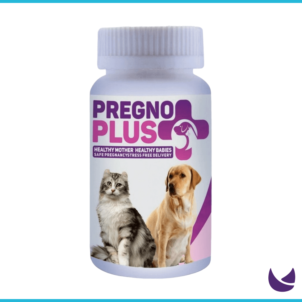 Pregno Plus for Pregnant Cats and Dogs Chubby Meows