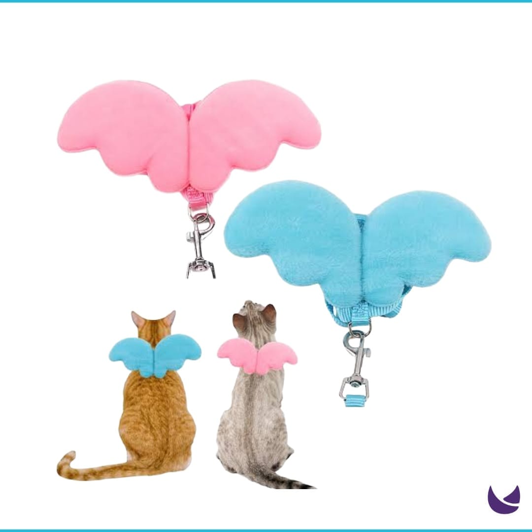 Angel Cat Harness and Lead Set Chubby Meows