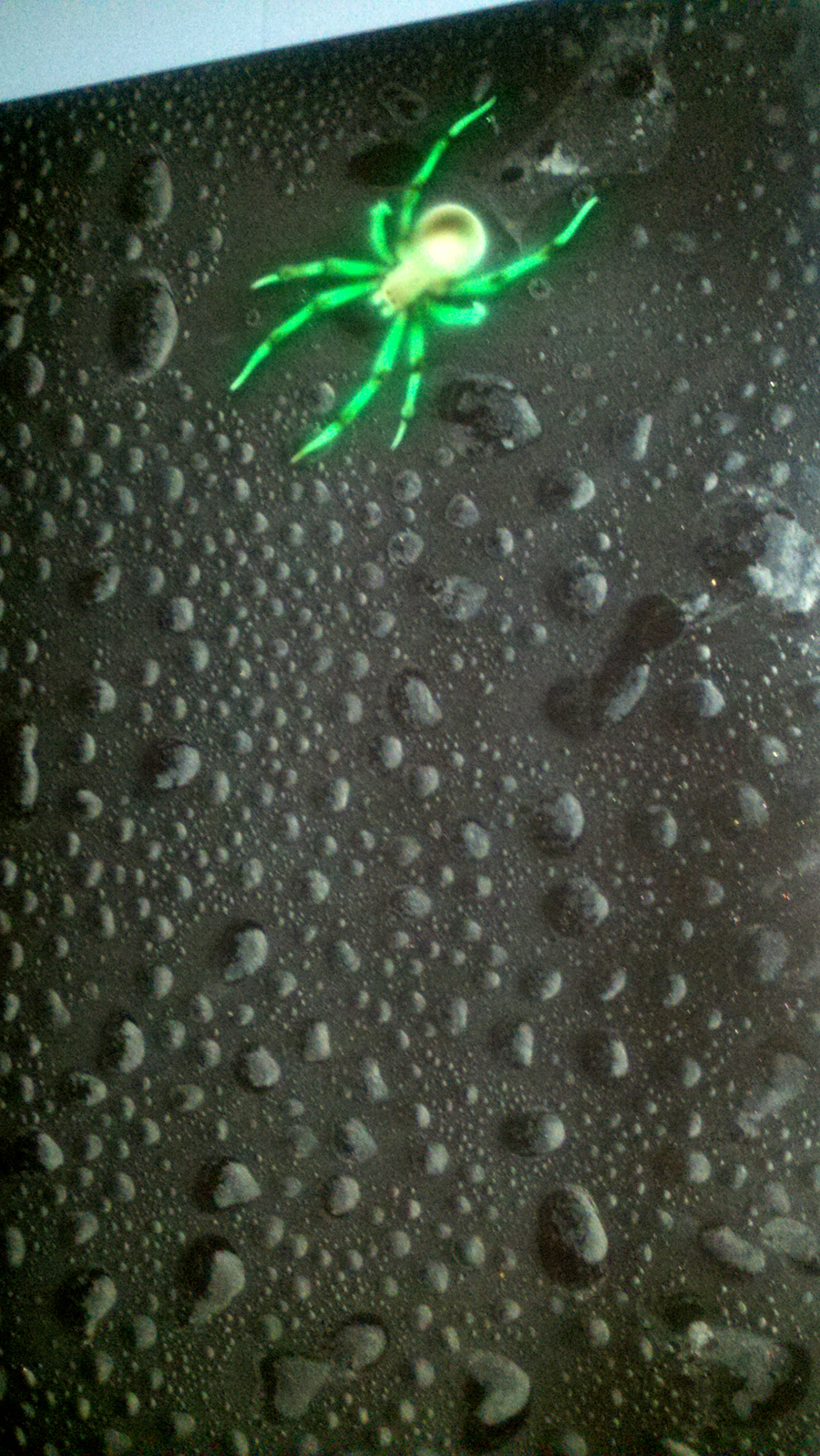 Airbrush Art Gallery Page 15 FREE AIRBRUSHING RESOURCES