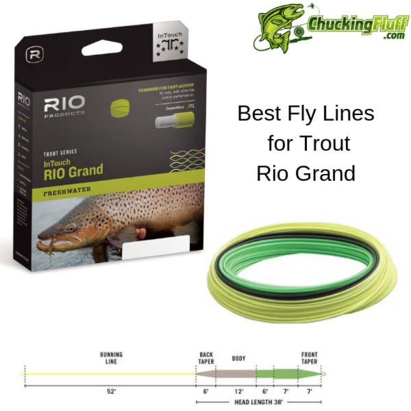 Best Fly Line for Trout 2023 Distance or Presentation?