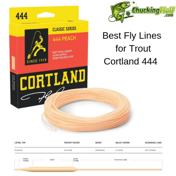 Best Fly Line for Trout 2023 Distance or Presentation?