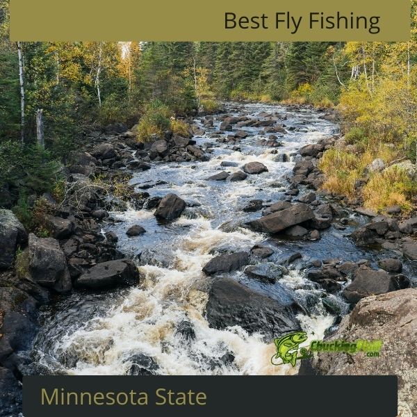 Best Fly Fishing in Minnesota Trout Heaven 2023