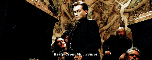 Chapter ThirtyOne The Prisoner and The Prophecy Chudley Chursley's