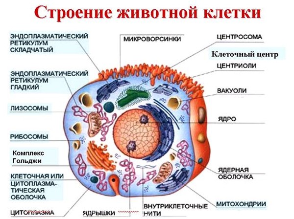 Чему учит сказка лиса и заяц 2 класс %D0%BA11