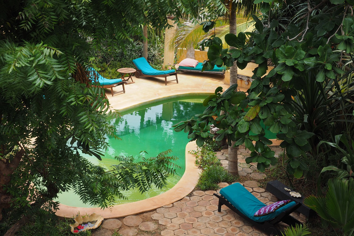 Banana House & Wellness Center CHUITours