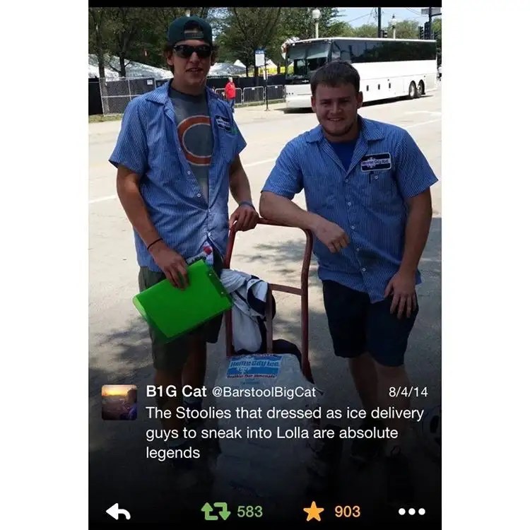 Wednesday's Dog Walk The Dudes Who Snuck Into Lollapalooza Pretending