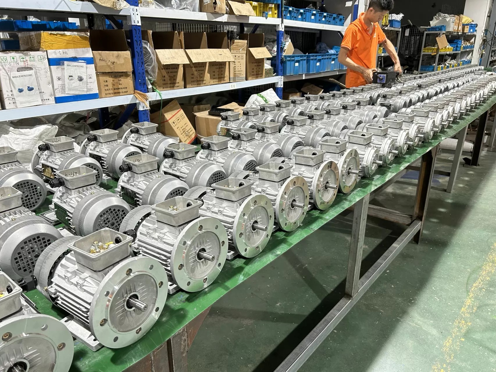 Exploring Argentina's Electric Motor Landscape Top Manufacturers and
