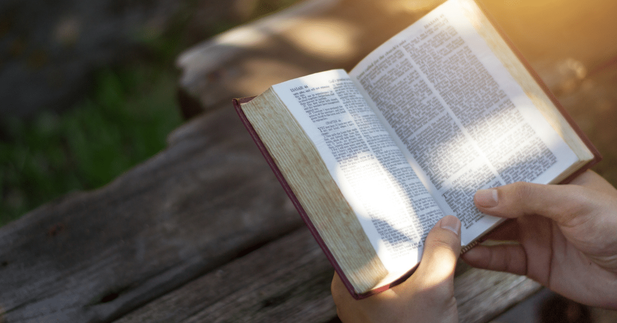 Top Ten BestSelling Bible Translations Compared to Ten Years Ago (2021 Update) Church Answers