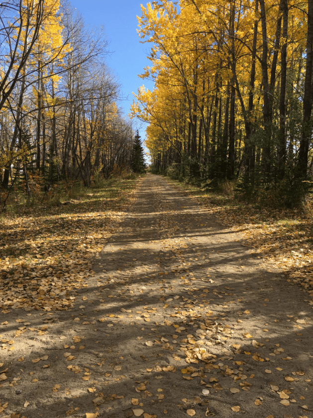 Town of Churchbridge