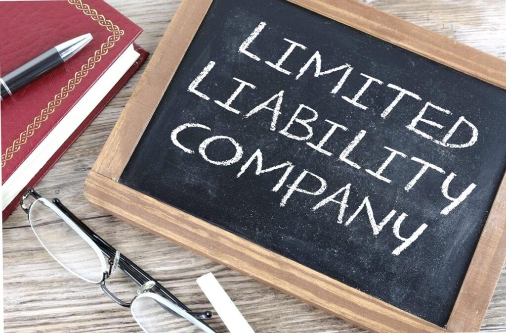 LLC Company Meaning & How To Easily Set It Up (2023)