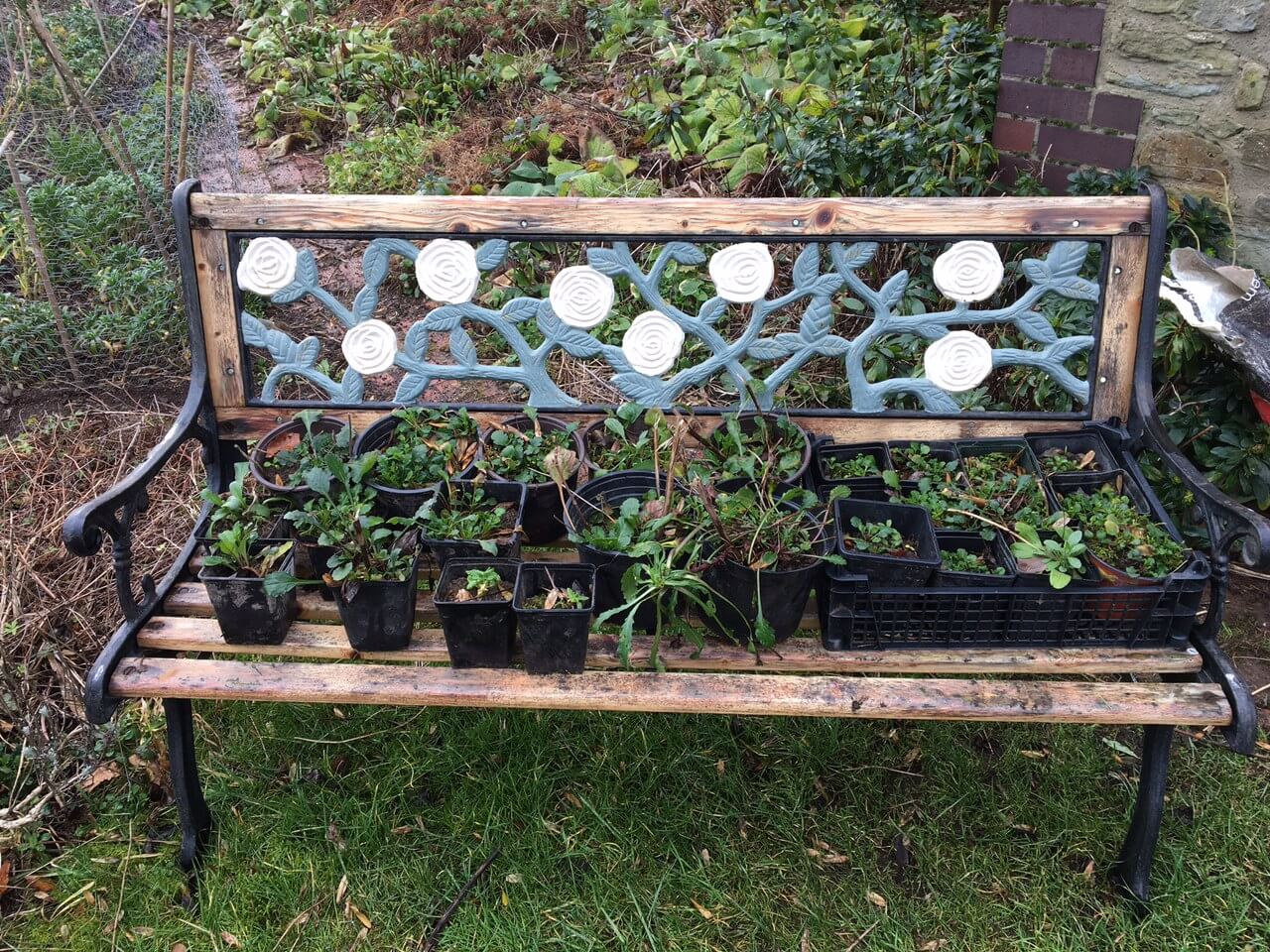 Church Stretton Annual Plant Sale Church Stretton