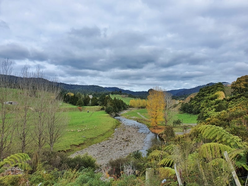 8 FUN WALKS IN THE KAIMAI RANGES CHUR NEW ZEALAND