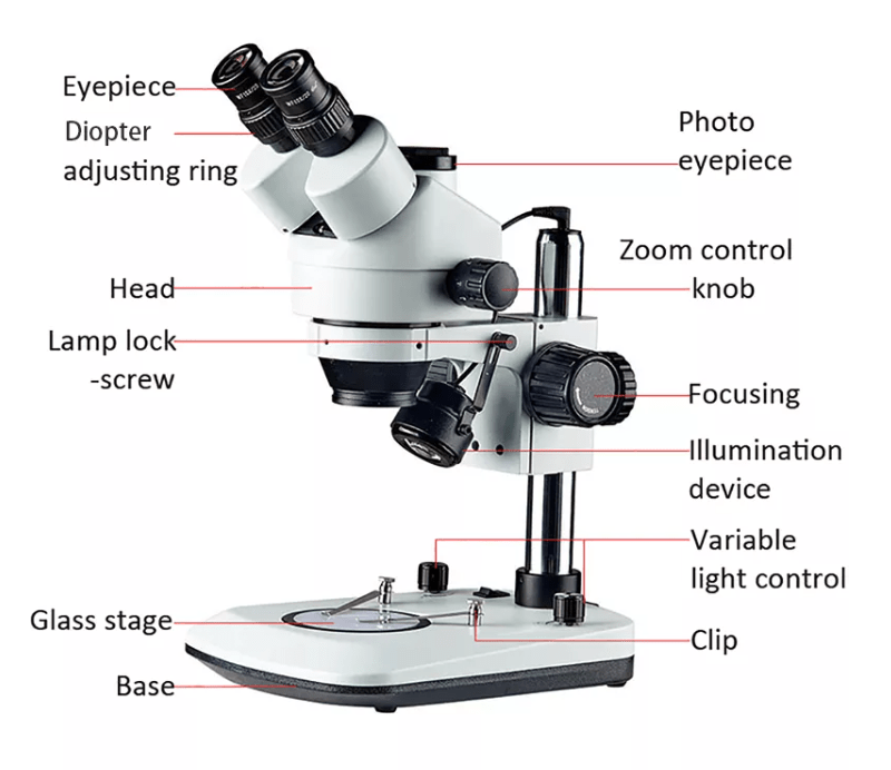 product microscope accessories microscope spare parts 9 Clarity serials