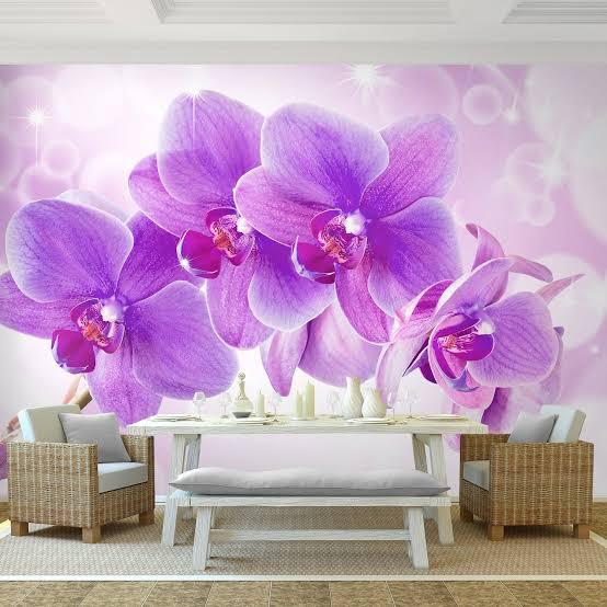 Exploring the Artistry Differences Between Wall Murals and Wallpaper