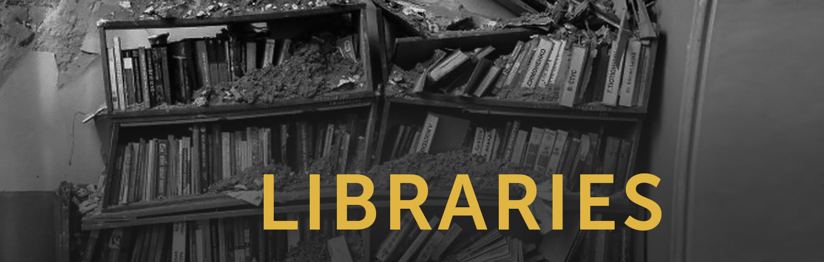 First document, then rebuild experts on the restoration of destroyed