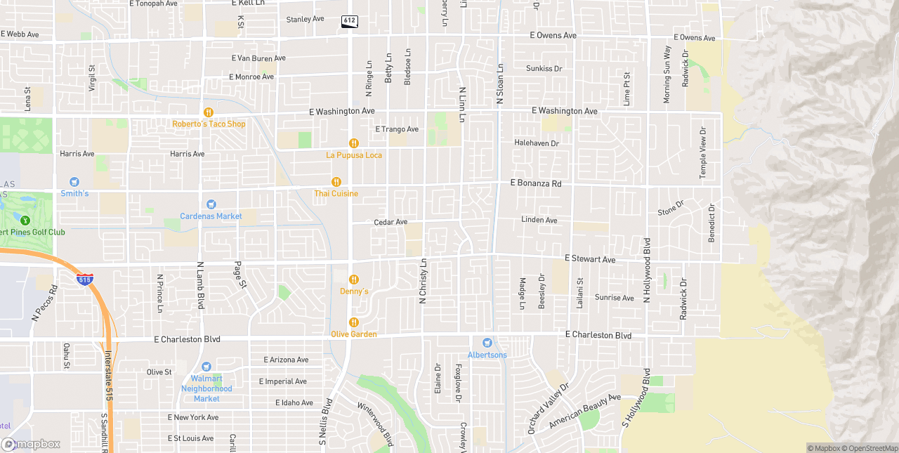 Top 5 Providers in Las Vegas, NV (2024)