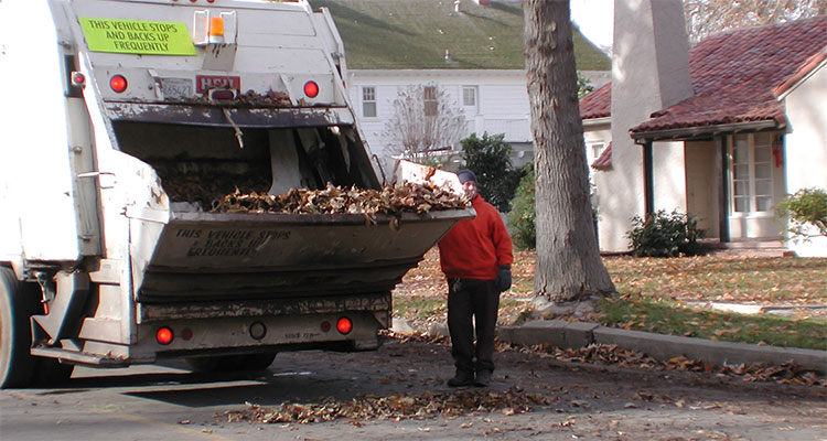 Leaf Pickup Program City of Turlock (Water Sewer & Garbage Service