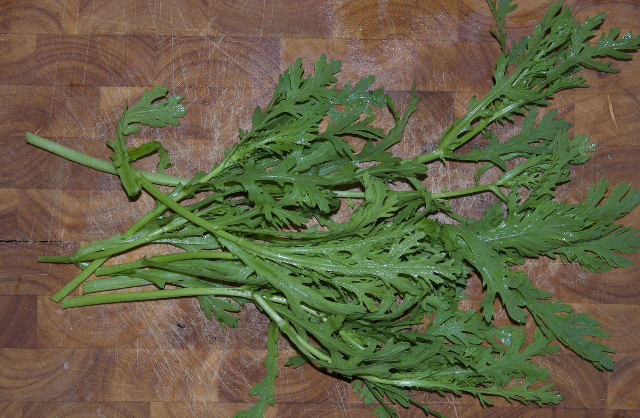 chop suey greens Blooms 'n' Food