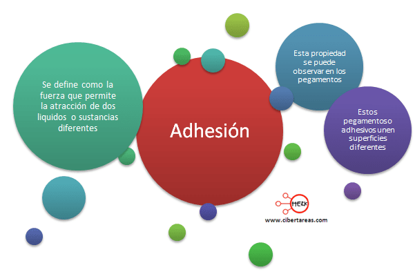 Adhesión Física 2 CiberTareas
