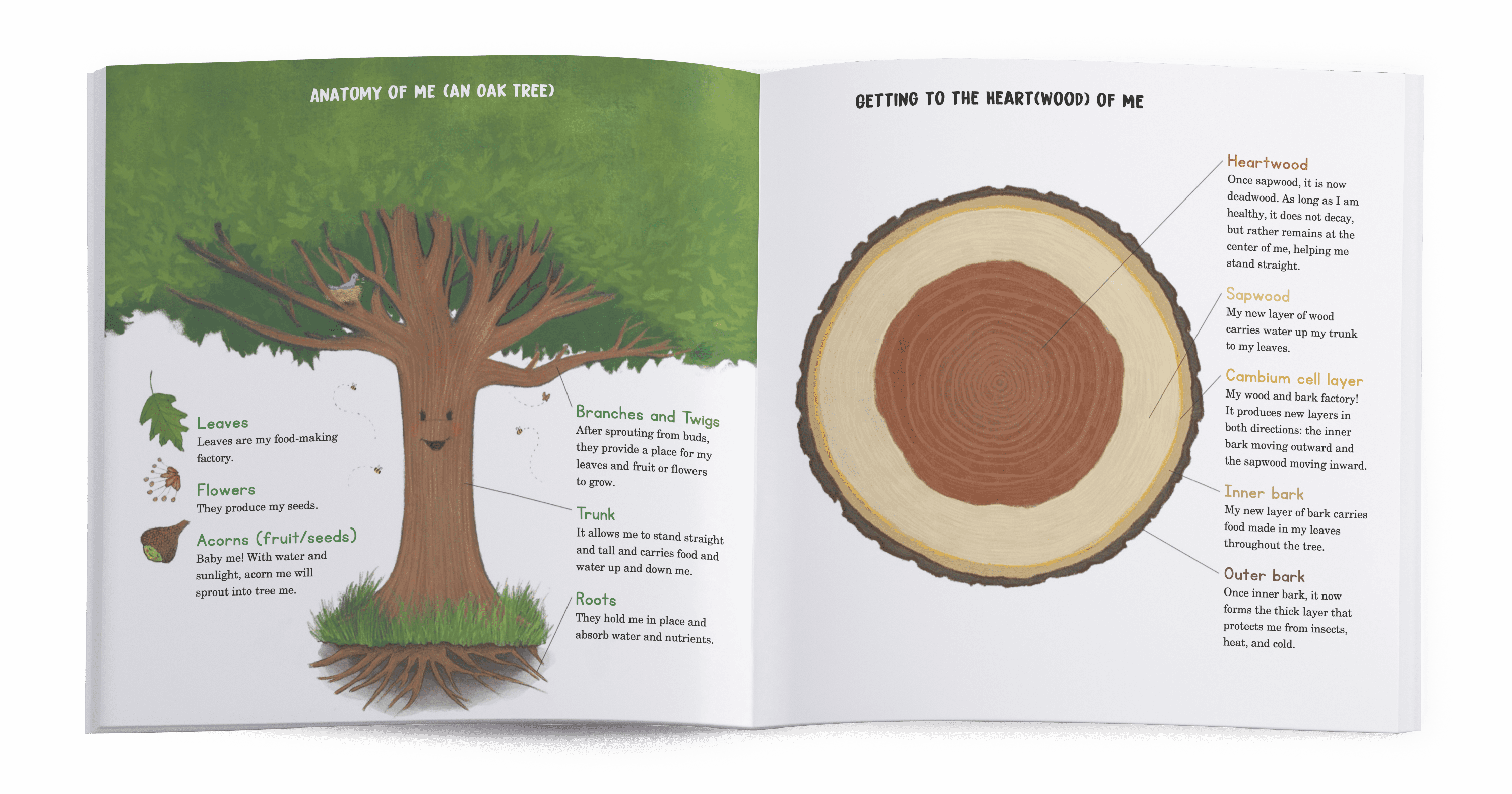 Treemendous Diary of a Not Yet Mighty Oak Mike Ciccotello