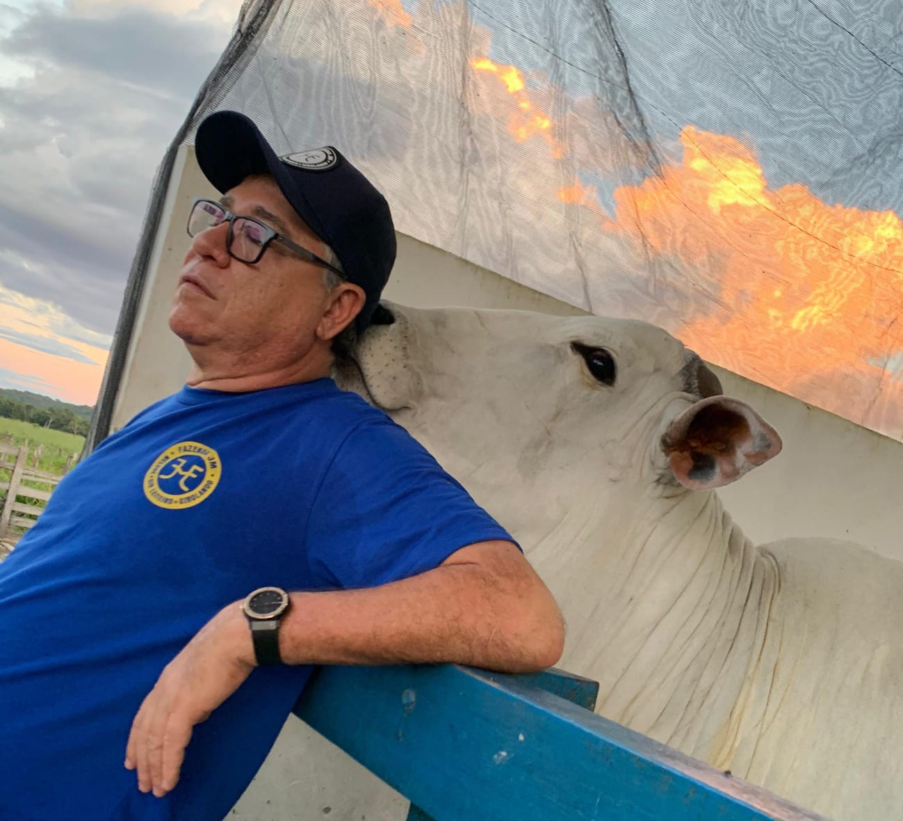 João Mádison com o boi na sombra Tempo Real Elivaldo Barbosa