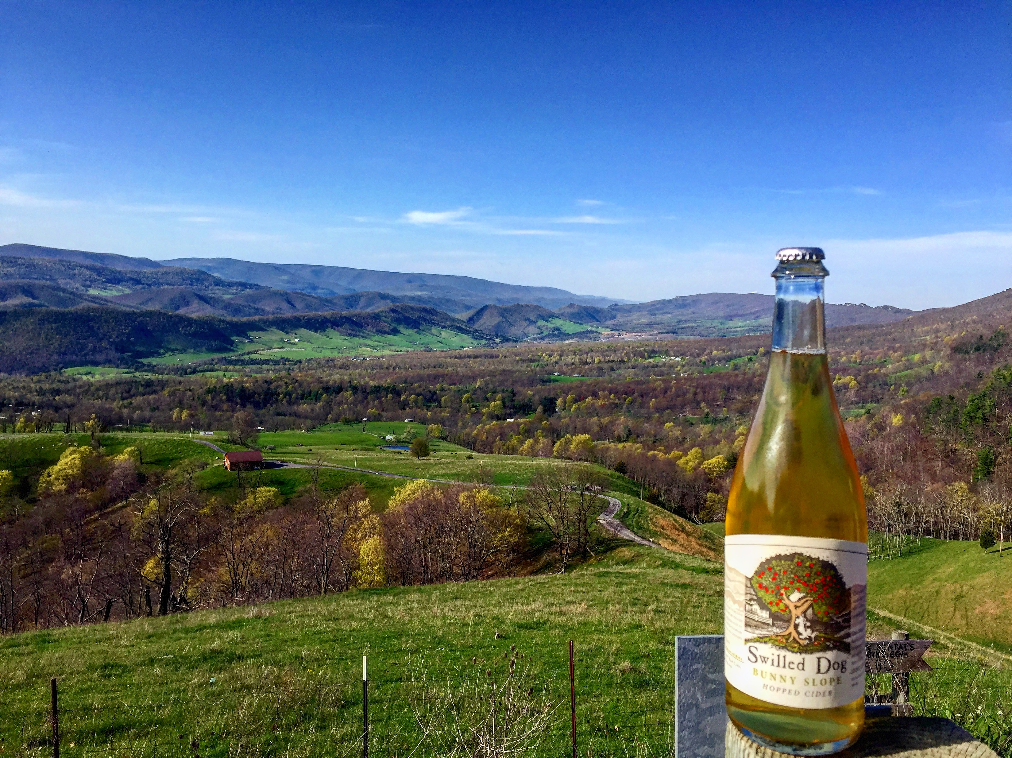 092 Brad Glover Swilled Dog Hard Cider, West Virginia Cider Chat