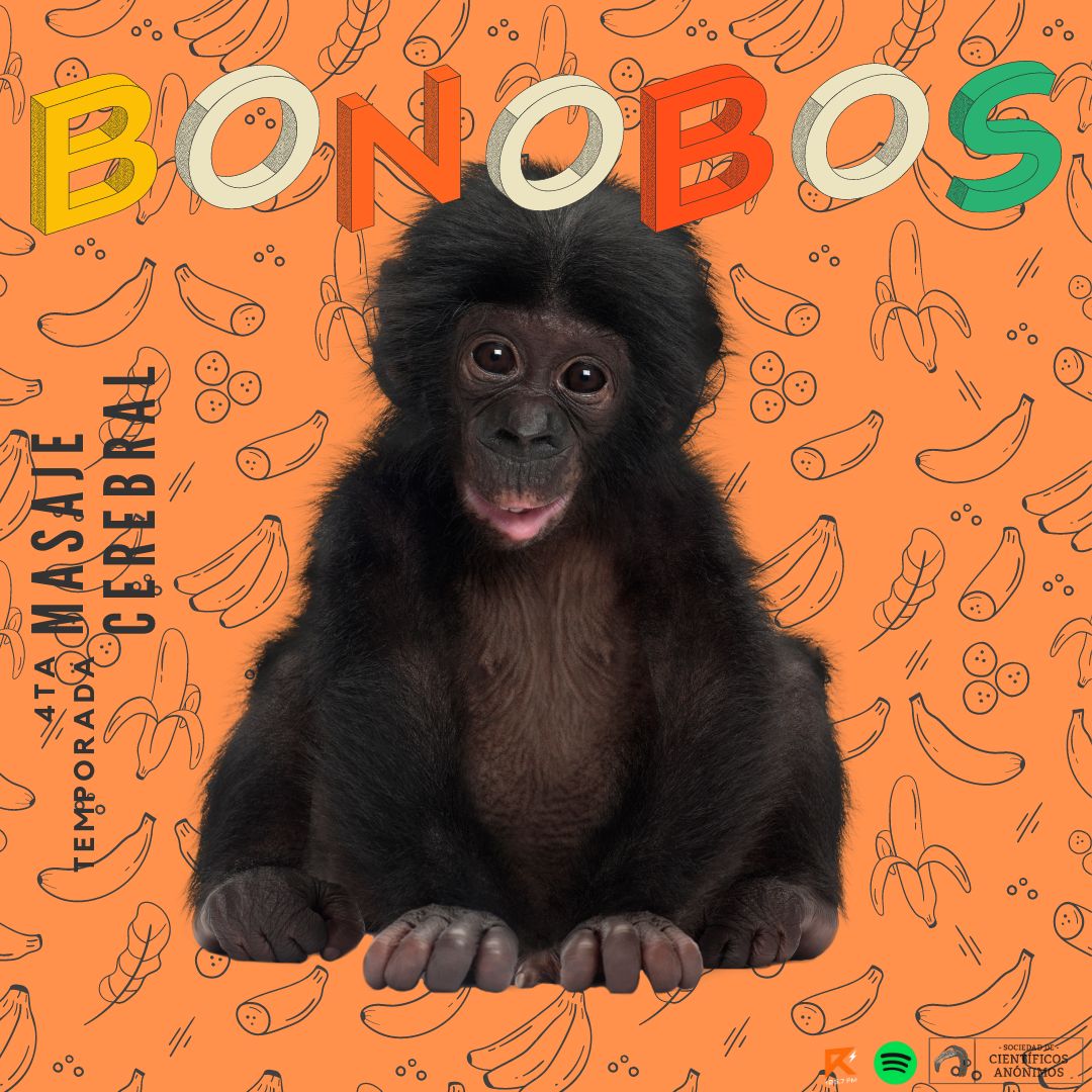 BONOBOS Sociedad de Científicos Anónimos