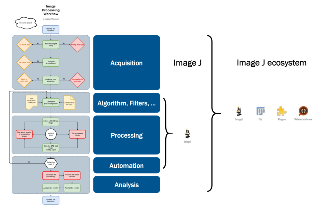 Several image processing workflow examples Cellular Imaging Facility