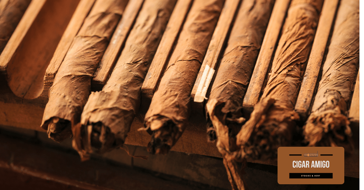 Rehydrate, Restore & Revive Cigars Guide)