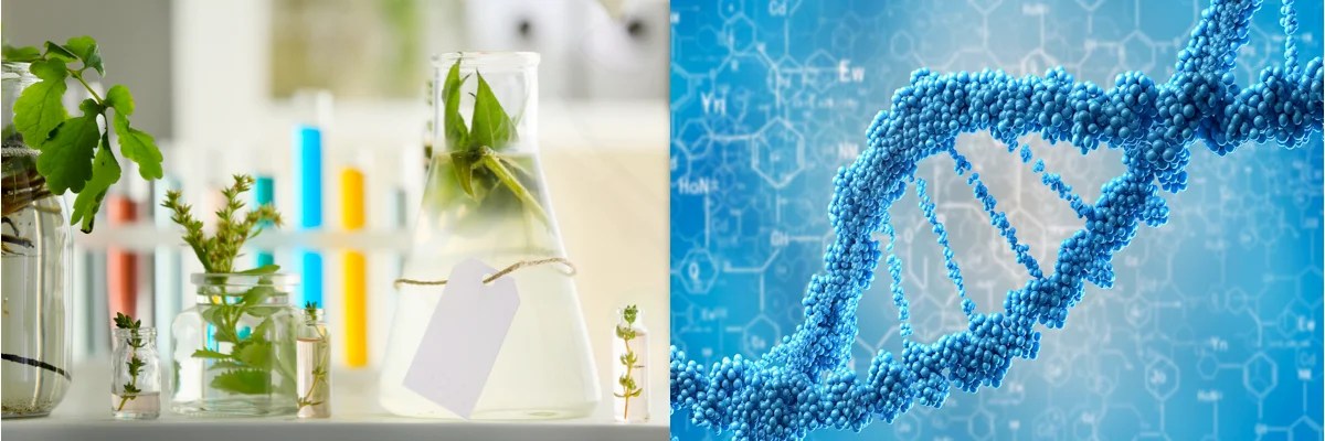 Biotechnology CIGI Career