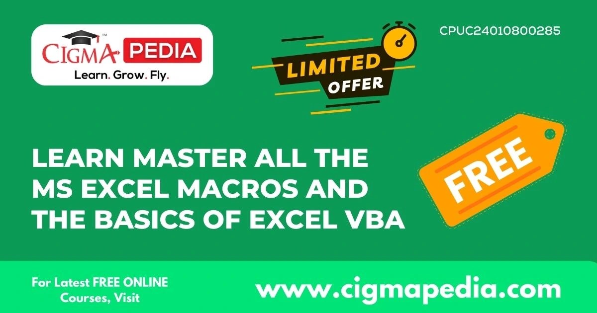Learn Master all the MS Excel Macros and the basics of Excel VBA (Free