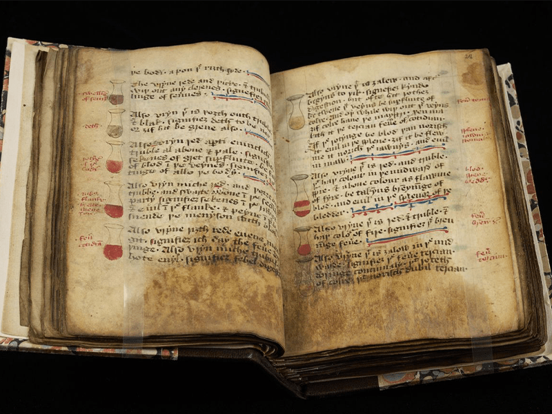 Old manuscripts which reveal bizarre medieval medical cures being