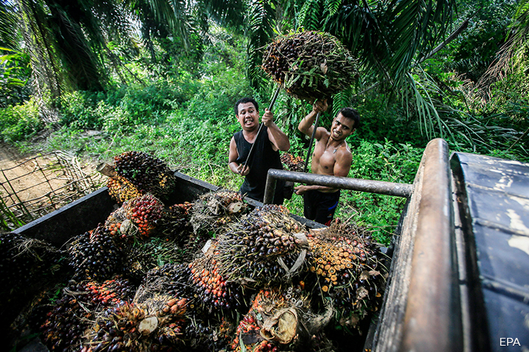 Sabah has a new pass for illegal immigrants… and some