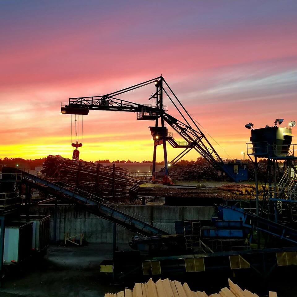 About Us Sawmill Charles Ingram Lumber Company Effingham, South