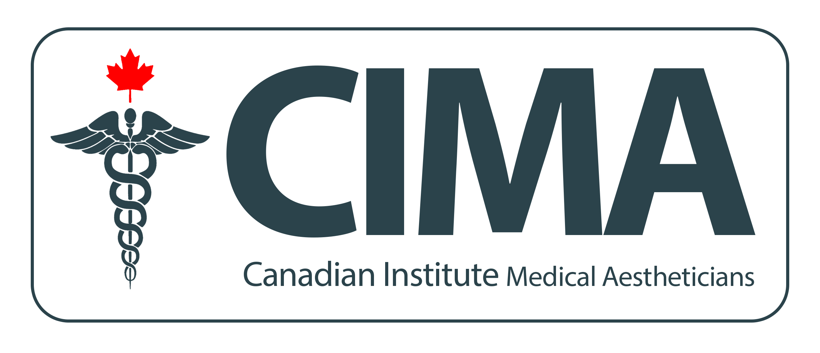 Introduction to Skin Anatomy and Aging CIMA Medical Aesthetics