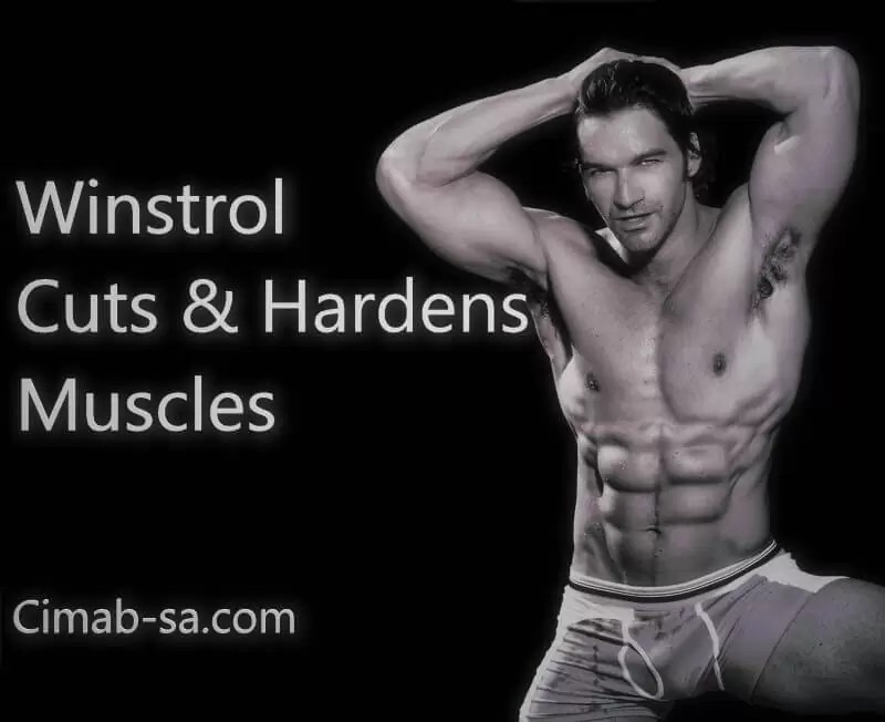 Dbol and Winny Cycle Can Dianabol and Winstrol be Stacked?