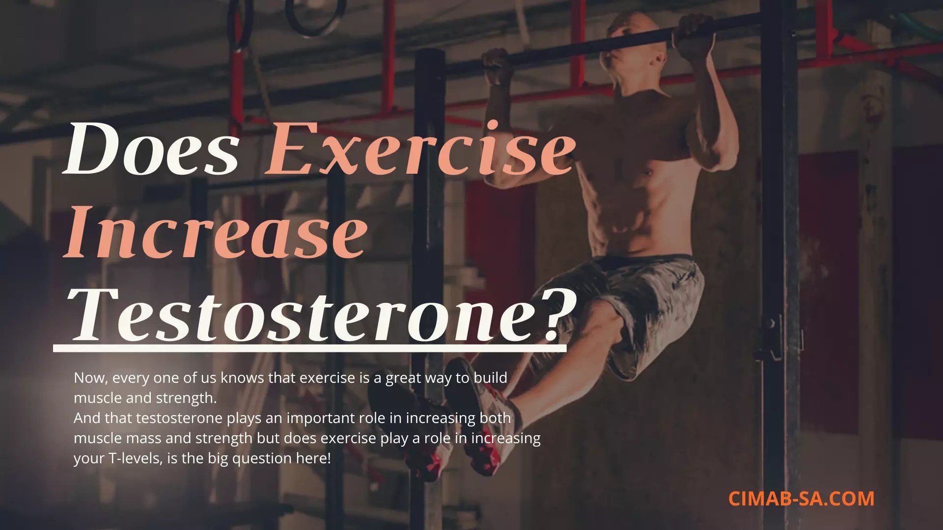 Does Exercise Increase Testosterone? If Yes, How?