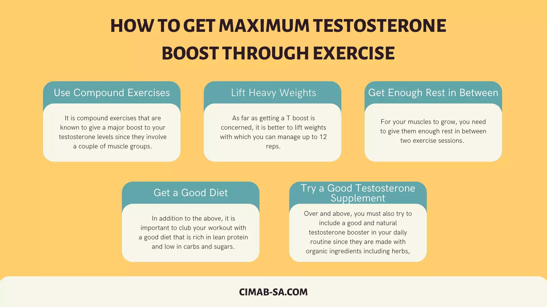Does Exercise Increase Testosterone? If Yes, How?