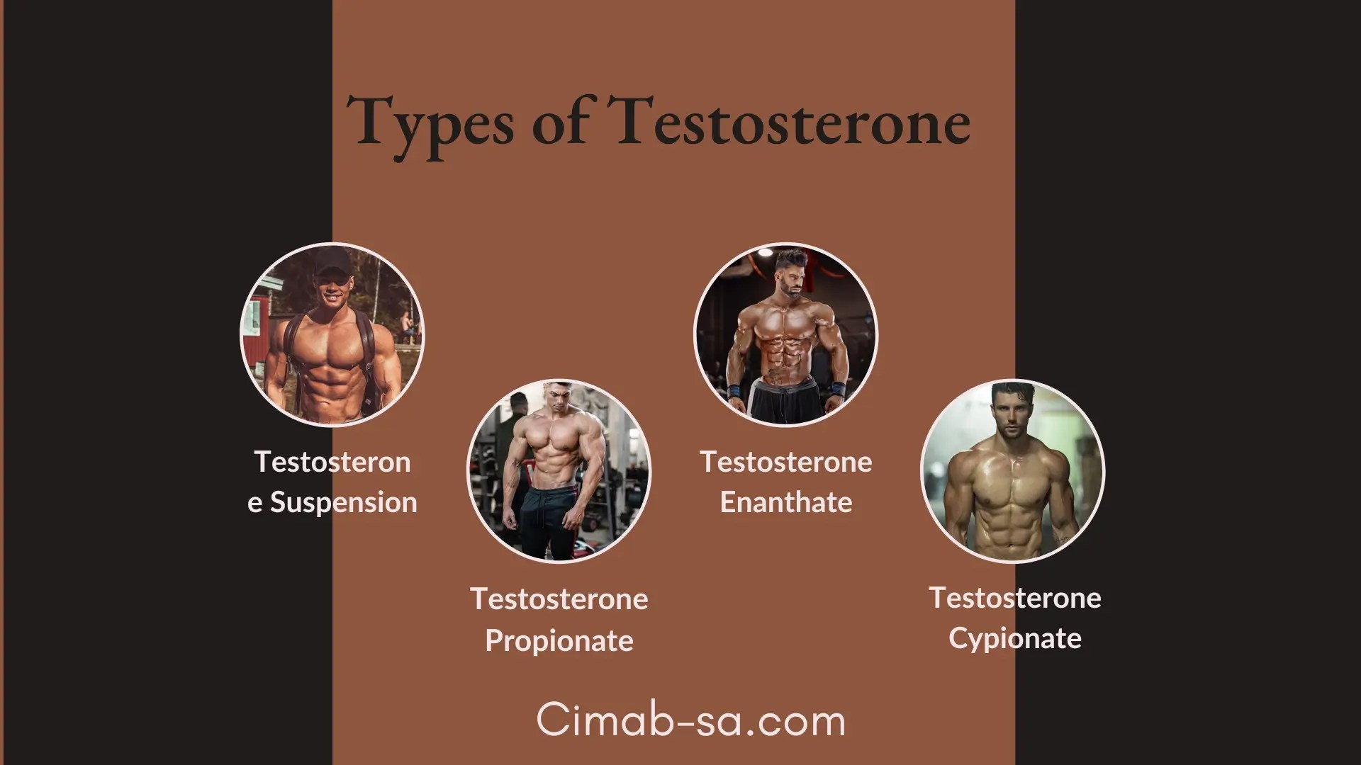 9 Top Testosterone Cycles for Muscle/Strength Gains, Cutting