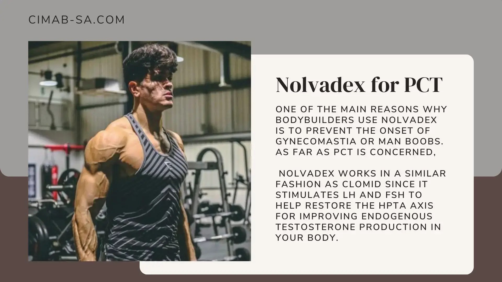 Best PCT for Test Cycle To Restore Testosterone